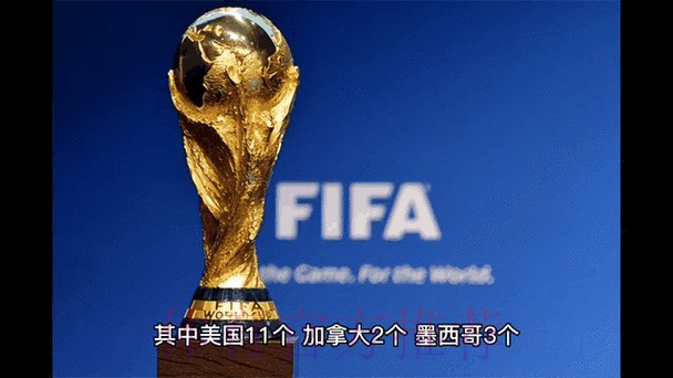2026世界杯中国体育彩票全程动态追踪 2026世界杯中国体育彩票全程动态追踪